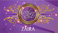 Логотип Заира Art - Style